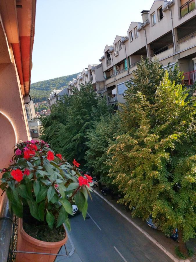Appartement Ino 99 à Užice Extérieur photo